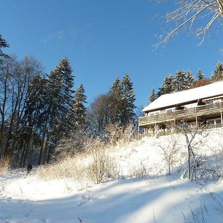 Fewo Waldblick Sankt-Andreasberg Extérieur photo