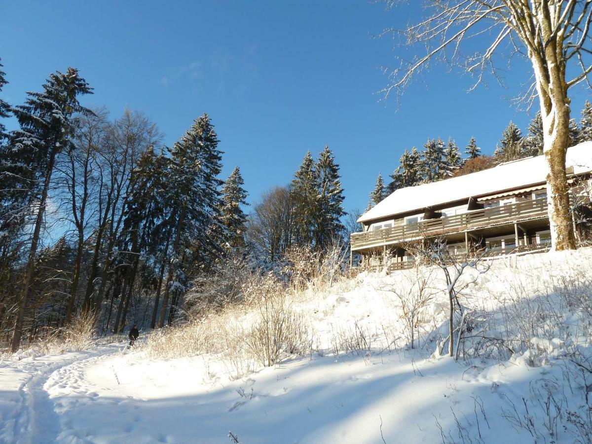 Fewo Waldblick Sankt-Andreasberg Extérieur photo
