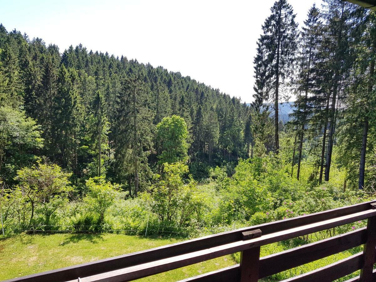 Fewo Waldblick Sankt-Andreasberg Extérieur photo